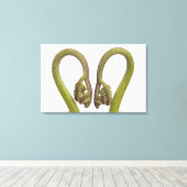 Sprossen 2 leinwanddruck (Insitu (Holzboden))