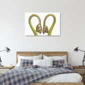 Sprossen 2 leinwanddruck (Insitu (Schlafzimmer))