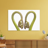 Sprossen 2 leinwanddruck (Insitu (Wohnzimmer))