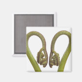 Sprossen 2 magnet (Vorderseite/Rückseite)