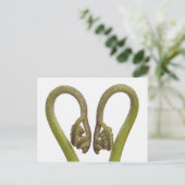 Sprossen 2 postkarte (Stehend Vorderseite)