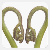 Sprossen 2 quadratischer aufkleber (Vorderseite)