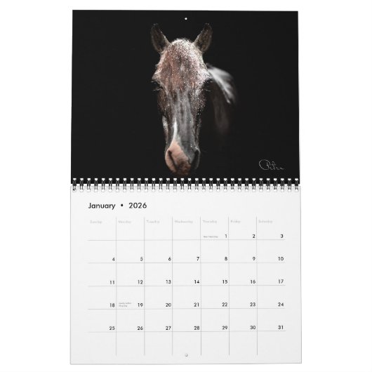 Sprout 2024 Pferde der Hoffnung Kalender (Jan 2026)