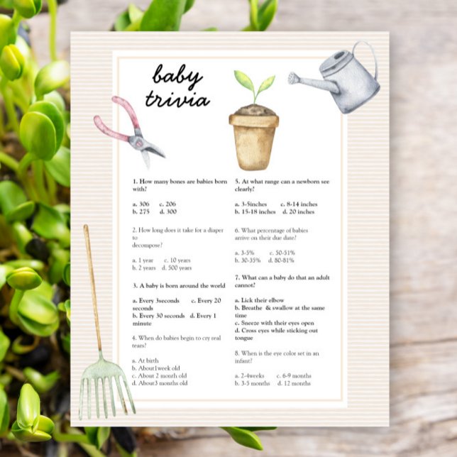 Sprout Baby Dusche - Baby-Trivialspiel (Von Creator hochgeladen)