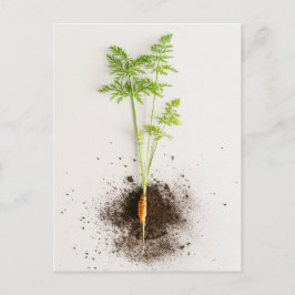 Sprout Carrot Minimalist Botanical photo Postkarte