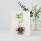Sprout Carrot Minimalist Botanical photo Postkarte (Stehend Vorderseite)