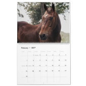 Sprout-Kalender 2025 Kalender (Feb 2027)