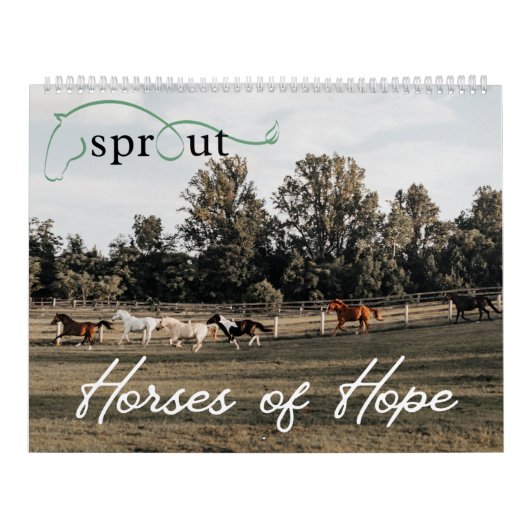 Sprout-Kalender 2025 Kalender (Titelbild)