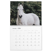 Sprout-Kalender 2025 Kalender (Jan 2026)