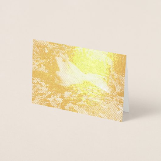 Spruce Flats Falls Folienkarte (Vorderseite)