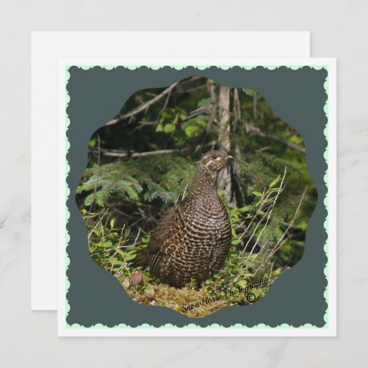 Spruce Grouse (Vorne/Hinten)