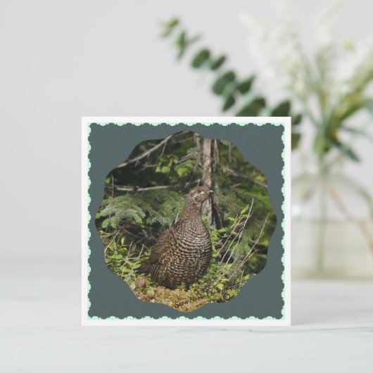 Spruce Grouse (Stehend Vorderseite)