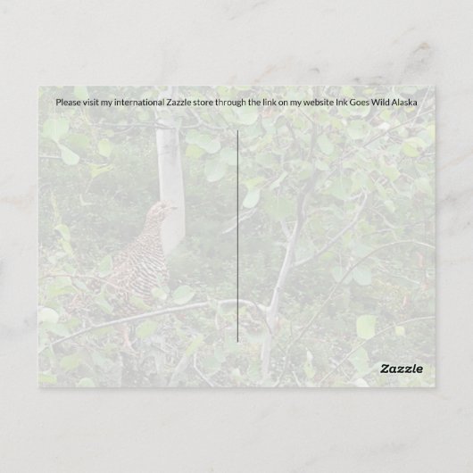 Spruce Grouse - Postkarte (Rückseite)