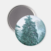 Spruce mit Schnee Magnet (Vorderseite/Rückseite)