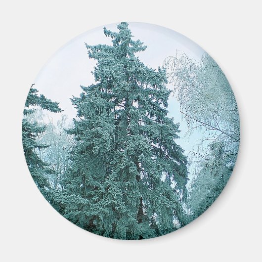 Spruce mit Schnee Magnet (Vorne)