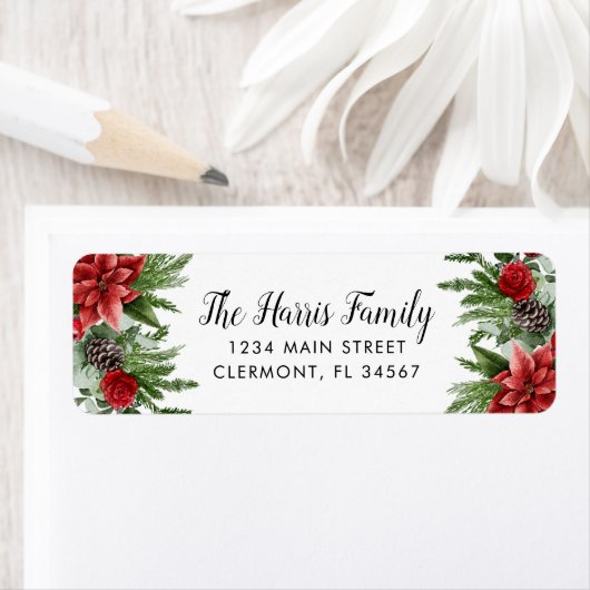 Spruce Pinecone und Poinsettia (Insitu)