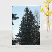 Spruce Trees In Forest Karte (Gelbe Blume)
