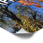 Sprüche 31:20 WEBU Poster (Ecke)