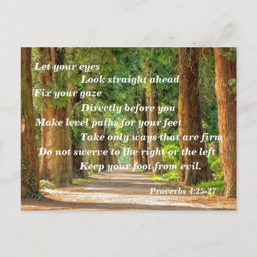 Sprüche 4:25-27 postkarte (Vorderseite)