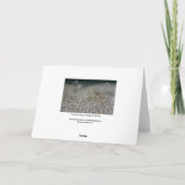 Sprühpistole Karte (Rückseite)