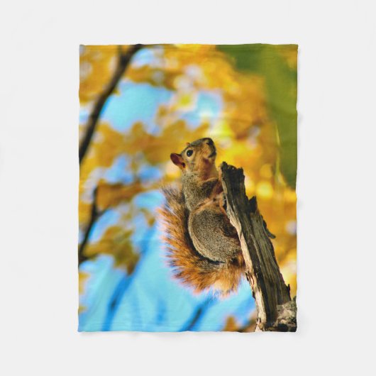 Sprung Fleecedecke (Vorderseite)