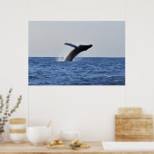 Sprung Humpback Poster (Küche)