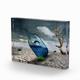 Sprung Killerwal in Flasche Fotoblock