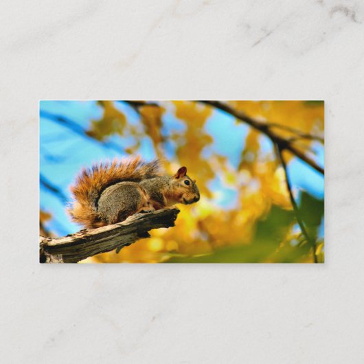 Sprung Visitenkarte (Rückseite)