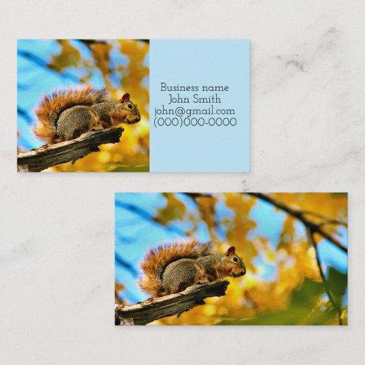 Sprung Visitenkarte (Vorne/Hinten)