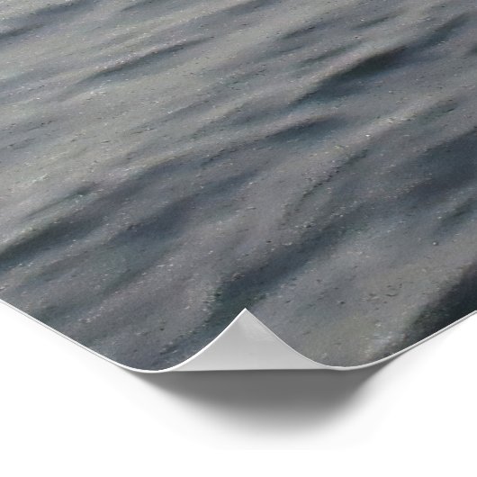 Sprungdolphin Poster (Ecke)