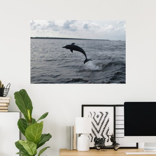 Sprungdolphin Poster (Heimbüro)