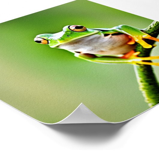 Sprungfrosch Poster (Ecke)