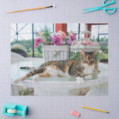 Sprungzettel Seidenpapier (Basteln)