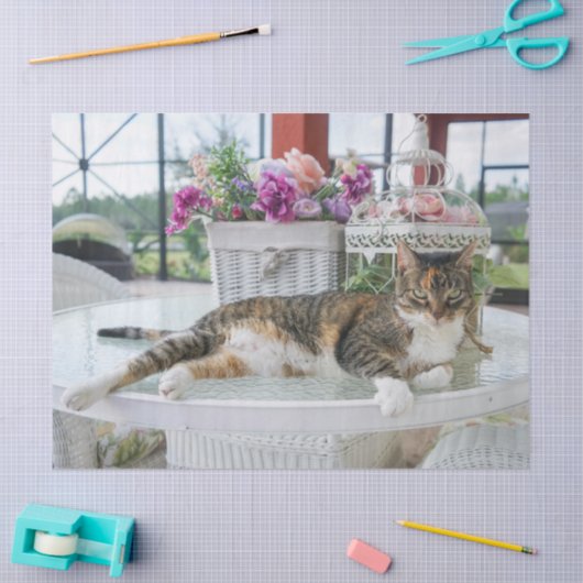 Sprungzettel Seidenpapier (Basteln)