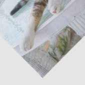 Sprungzettel Seidenpapier (Detail)