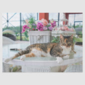 Sprungzettel Seidenpapier (Vorderseite)