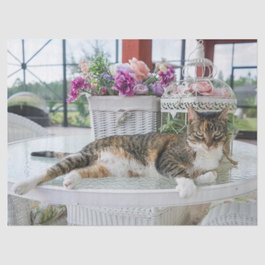 Sprungzettel Seidenpapier (Vorderseite)