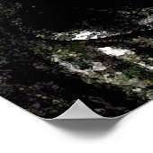 SPS-"To End"-Poster Poster (Ecke)