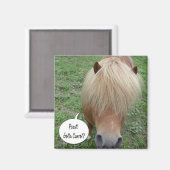 Spst! Karotte? Magnet (Vorderseite/Rückseite)