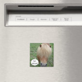 Spst! Karotte? Magnet (In Situ (Geschirrspüler))