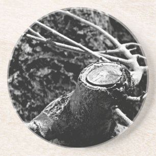 Spucken Sie mich um den Baum Getränkeuntersetzer