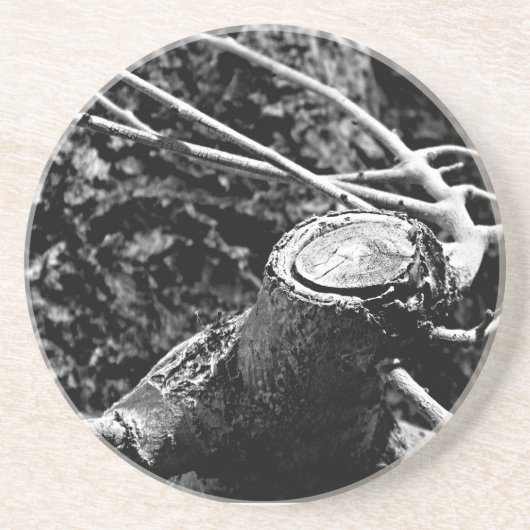 Spucken Sie mich um den Baum Getränkeuntersetzer (Vorne)