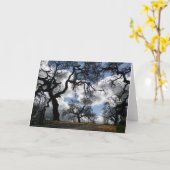 Spuk Bäume Schönes Landschaftliches Foto Karte (Gelbe Blume)