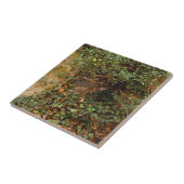 Spuk Fenster   Fliese (Seite)