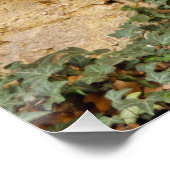 Spuk Fenster Poster (Ecke)