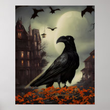 Spuk House Raven
