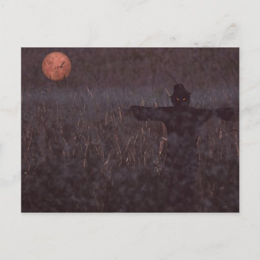 Spuk Maisfeld-Postkarte Postkarte (Vorderseite)