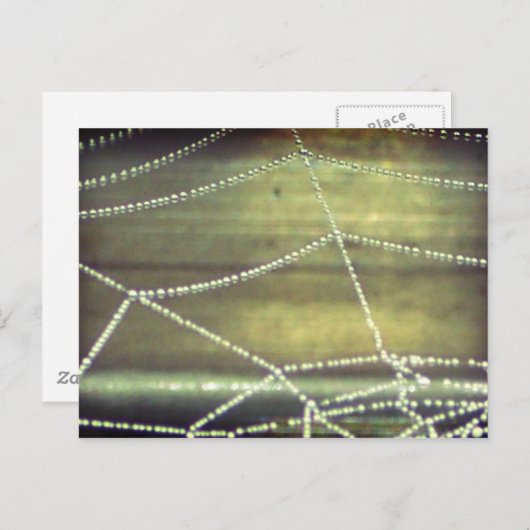 Spuk Postkarte (Vorne/Hinten)