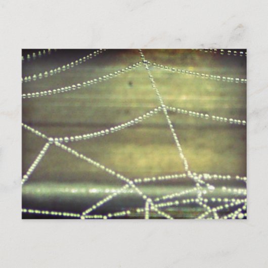 Spuk Postkarte (Vorderseite)