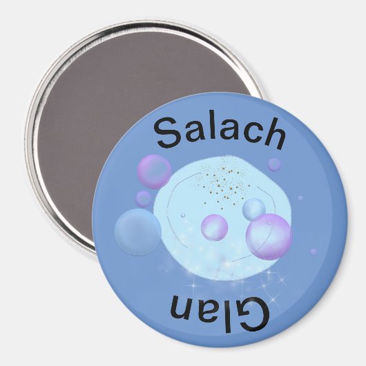 Spülmagnete Magnet (Vorderseite/Rückseite)